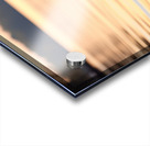 Golden Hour Bloom – Warm Sepia Sunflower Landscape Print Acrylic print