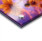 Skyscape Sunflowers – Purple Sunset Botanical Print Acrylic print