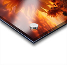 Blaze of Blooms – Dramatic Sunflower Sunset Print Acrylic print