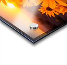 Sunset Sunflowers – Golden Hour Botanical Art Print Acrylic print