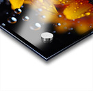 Morning Dew Daisies – Luminous Floral Art Print Acrylic print