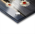 Shoreline Daisies – Coastal Botanical Art Print Acrylic print