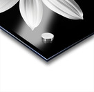 Obsidian Bloom II – Minimal Floral Print Acrylic print