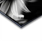 Obsidian Bloom I – Graphic Floral Print Acrylic print