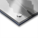 Desert Sunflower – Stormfront Monochrome Landscape Print Acrylic print