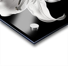 Golden Meadow by the Lake – Wildflower Panorama Print Impression Acrylique