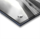 Reflection Tree – Landscape in Black & White Print Acrylic print