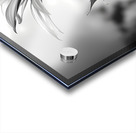 Sunflower Monochrome – Black & White Botanical Study Acrylic print