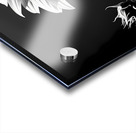 Iconic Sunflower – Golden Bloom Fine Art Print Acrylic print