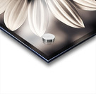 Blind Eyed – Monochrome Daisy Macro Art Print Acrylic print