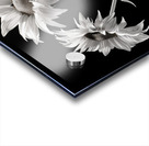 Ineffable – Black & White Twin Sunflower Art Print Acrylic print