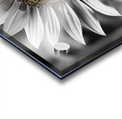 Flawless – Black & White Sunflower Art Print Acrylic print