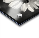 The Grace of Golden Hours – Monochrome Floral Art Print Acrylic print