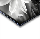 Eclipsed in Bloom – Monochrome Floral Art Print Acrylic print