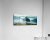 Keeper of the Valley - Misty Meadow Tree Art Prints Acrylic Print