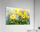 Golden Blooms – A Watercolor Celebration - Sunflower Watercolor Art Prints Acrylic Print