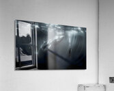 In the Presence of Majesty - Underwater Whale and Diver Art Prints Acrylic Print