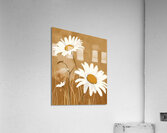 Wild Wild Daisies - Rustic Daisy Floral Art Prints Acrylic Print