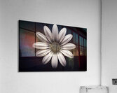 Beaute Impeccable - Impeccable Beauty - Pop Surreal Portrait Art Prints Acrylic Print