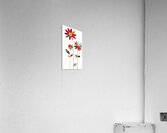 Plaid Botanica 13 - Retro Floral Art Prints Acrylic Print