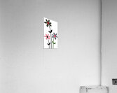 Plaid Botanica 8 - Contemporary Floral Pattern Art Prints Acrylic Print