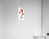 Plaid Botanica 19 - Modern Retro Floral Art Prints Acrylic Print