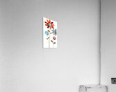 Plaid Botanica 20 - Graphic Floral Art Prints Impression acrylique