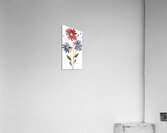 Plaid Botanica 7 - Retro Floral Art Prints Acrylic Print