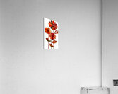 Plaid Botanica 3 - Contemporary Floral Art Prints Impression acrylique