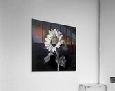 Sunflower Selfie 2 - Sunflower Portrait Art Prints Acrylic Print