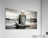 Looking Through You - Reflective Minimalist Landscape Art Prints Acrylic Print