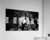 Midnight - Nocturne Landscape Art Prints Acrylic Print