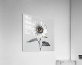 Sunflower Selfie 7 - Sunflower Portrait Art Prints Impression acrylique