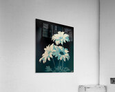 Midnight Bloom - Nocturne Floral Art Prints Acrylic Print