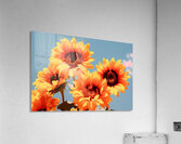 Golden Giants - Sunflower Portrait Art Prints Acrylic Print