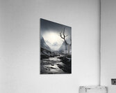 Where Silence Flows - Monochrome Landscape Art Prints Acrylic Print