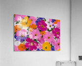 Eclat De Couleurs - Burst Of Colors - Abstract Floral Art Prints Impression acrylique
