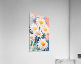 Margherite Al Mattino - Daisies In The Morning - Italian Floral Art Prints Acrylic Print