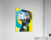 Punk Rock Originale - Punk Portrait Art Prints Impression acrylique
