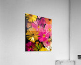 Luce Che Sboccia Nel Buio - Light That Blooms In The Dark - Luminous Floral Art Prints Acrylic Print