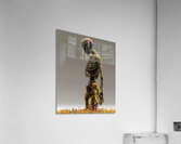 Decay In Bloom - Sculptural Botanical Art Prints Acrylic Print