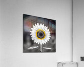 Sunflower Selfie 12 - Sunflower Portrait Art Prints Acrylic Print