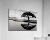 Solitude - Monochrome Landscape Art Prints Acrylic Print