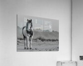 Born Of Dust And Light - Modern Abstract Art Prints Acrylic Print