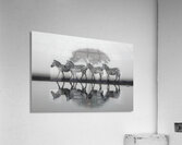 Led Beside Still Waters - Monochrome Landscape Art Prints Acrylic Print