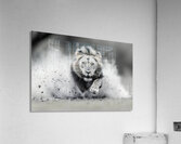 Sanctified And Savage - Modern Inspirational Art Prints Acrylic Print