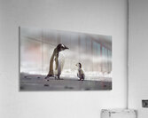 Under His Wings - Inspirational Monochrome Art Prints Impression acrylique