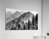 Mist Over Mountain Pines - Monochrome Landscape Art Prints Acrylic Print