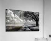Prairie Road - Monochrome Landscape Art Prints Acrylic Print