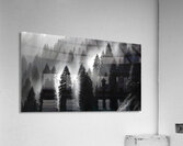 Misty Pine Hillside - Monochrome Landscape Art Prints Acrylic Print
